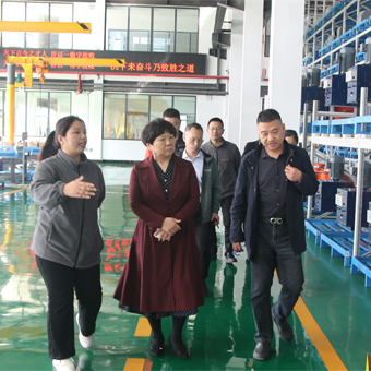 河南省建筑材料工業(yè)協(xié)會會長王愛貞、秘書長丁振宇蒞臨河南豐博自動化有限公司考察